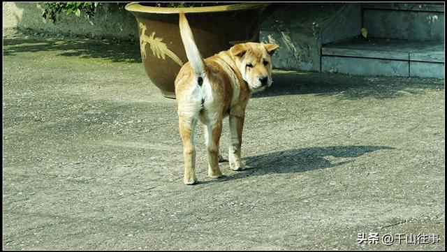 单人独骑：骑行的终极浪漫，内心强大才是硬核装备