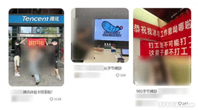 创造与魔法破解版账号（放弃百万年薪）