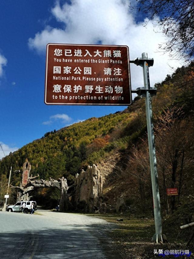 大熊猫栖息地——宝兴神木垒风光