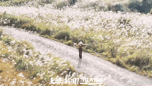 路过龙里大草原也要买门票？当地回应：纯过路不收钱