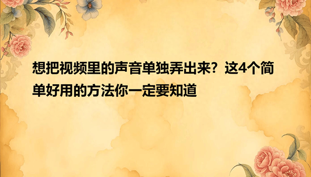 电脑显示无视频输入有什么办法（想把视频里的声音单独弄出来这4个简单好用的方法你一定要知道）