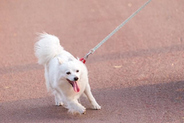 不管你信不信，女性过53岁后，基本都有如下8个现状！要坦然接受