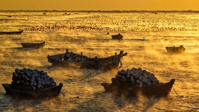 绝美！雪后荣成海湾上演“海浩”盛景