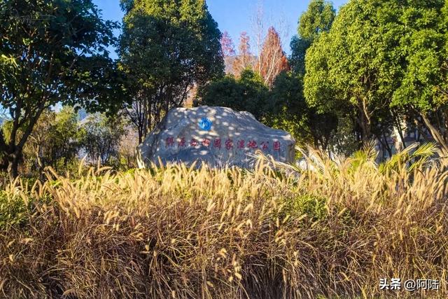 原来大理也有西湖，山水交融风光秀美，可惜门票比5A级景区还贵