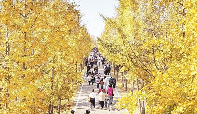 林梢一抹美如画