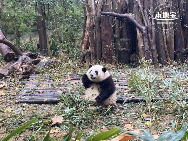 四川国庆最难约的7个景区！记得提前预约
