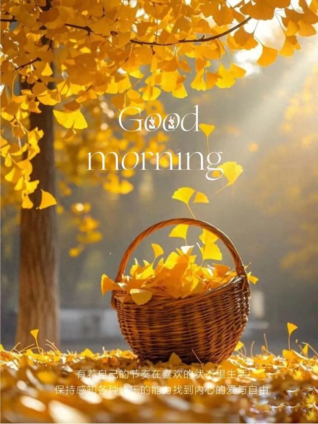 吃完花胶之后能吃鱼吗 2026年吃完花胶之后能吃鱼吗会中毒吗 吃完花胶之后能吃鱼吗 2026年吃完花胶之后能吃鱼吗会中毒吗