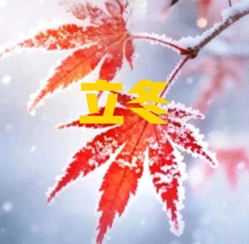 “白天立冬，穿单衣；晚上立冬冻死牛”，今年立冬在几点？