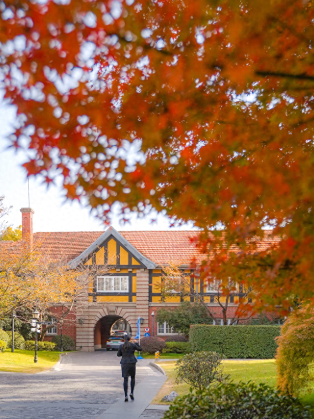 百年银杏+红枫草坪！藏在上海市中心的英式庄园化身现实版秋日童话秘境→