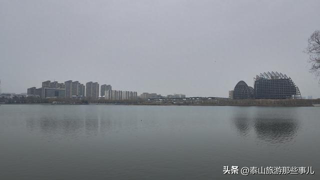 泰安：城东有一个公园，一场40分钟的闲逛，竟找到让人动容的瞬间
