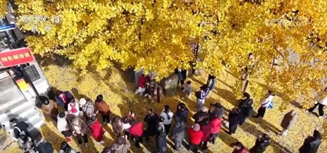 “限量版”秋冬美景成为旅游“金名片” 各地打造文旅市场新增长点