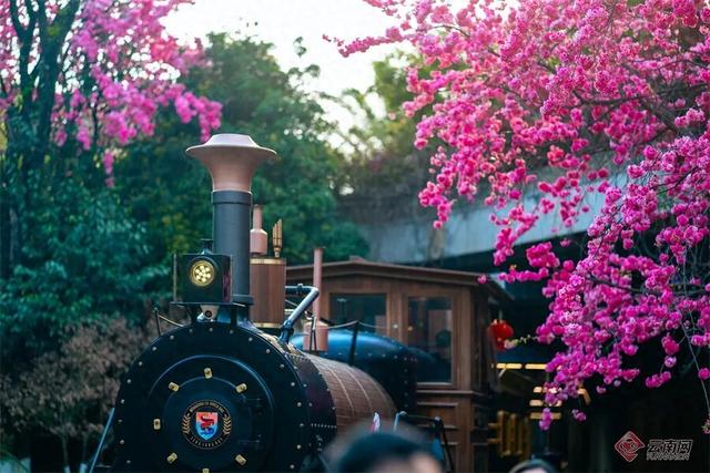 网络中国节·清明丨清明出游不扎堆！云南这些人少景美的宝藏小城别错过