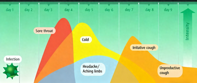 在我们之中破解版汉化（每次感冒都从喉咙痛开始）