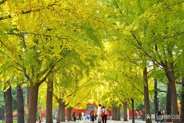 抓住秋天的尾巴，漫步休闲觅秋光