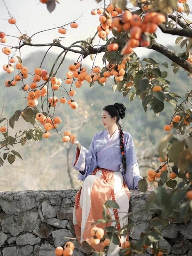 最佳观赏期！冬天来广西，指定有好“柿”！（附最新实拍图）