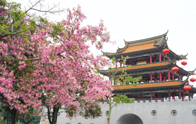 许愿接福、趣味打卡！这份超全攻略助您元旦假期畅游东莞观音山~