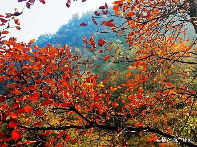 巴中秋季3天红叶自驾环线（非网红秘境版）抄作业 拿走不谢