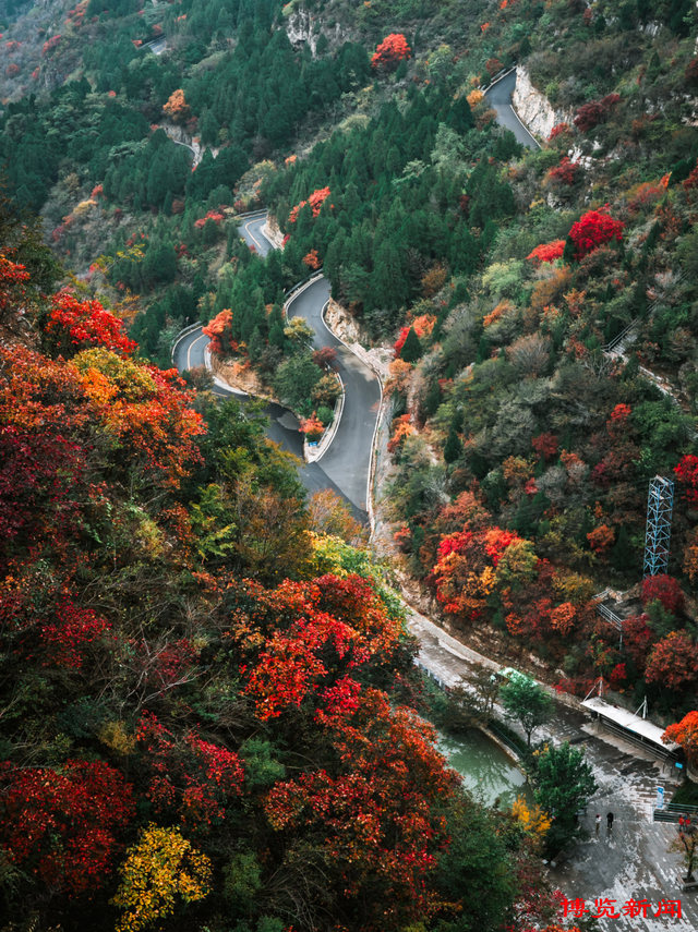 淄博4条主题旅游线路，藏着超多惊喜玩法，快来打卡！