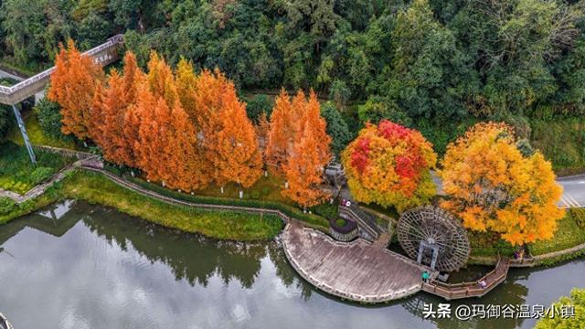 冬日理想栖息地｜在玛御谷，开启一场温暖身心的康养之旅