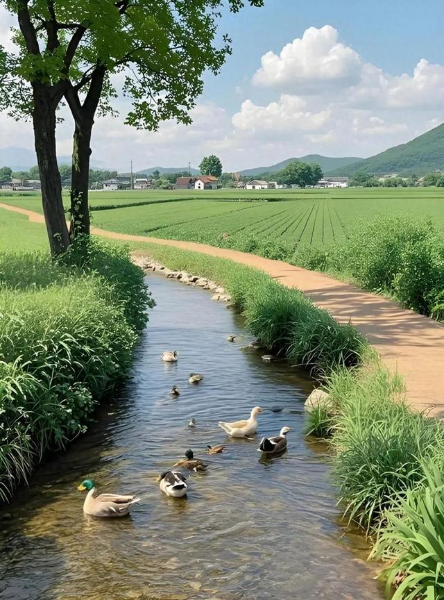 乡村童年的夏日记忆 | 作者 庄祥民