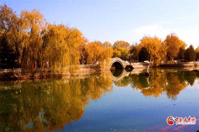 陇拍客丨临泽小城秋景入画