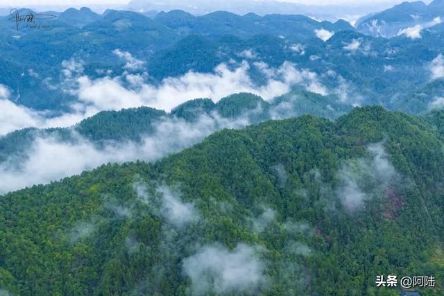 太子尖终于着火了,从前几年变得臭哄哄开始,一切都是必然