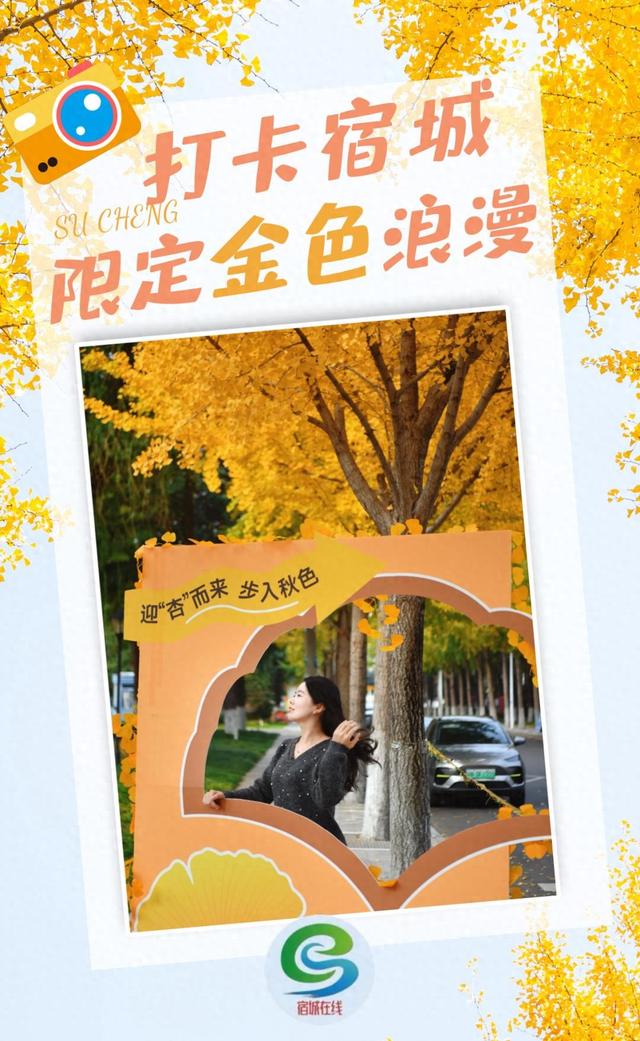 绝美！走，打卡去！