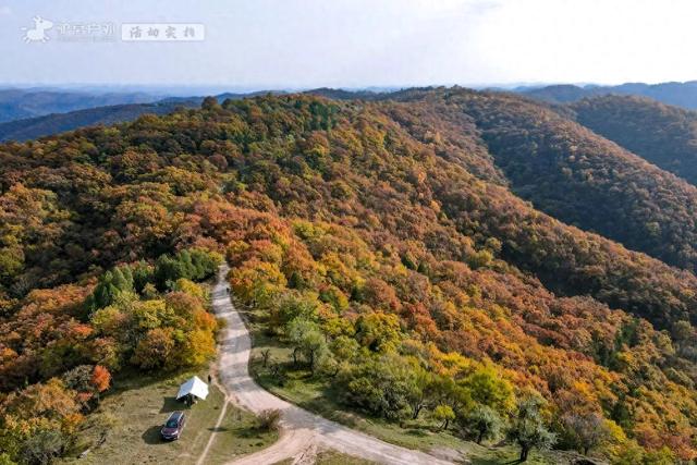 陕西这里藏着一条千年前的高速公路，秋日彩林惊艳，小众人还少！