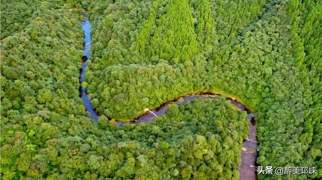 央视《共同关注》聚焦成都邛崃天台山，跟着央视国庆去天台山抓住2025最后一波赏萤热潮！