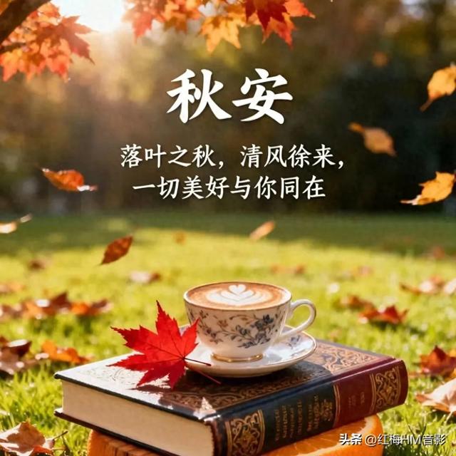 人生感悟：看淡人间事 释怀心中念