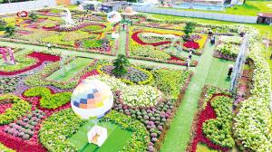 海埂公园绣球花展开园