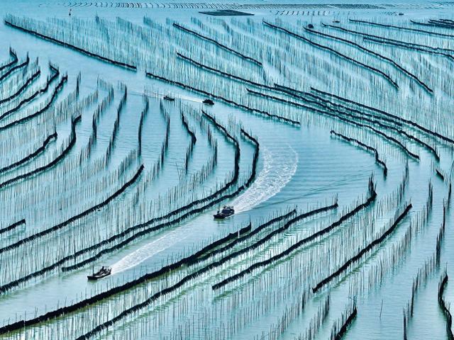 1月11日是什么星座（光影霞浦 山海交融）