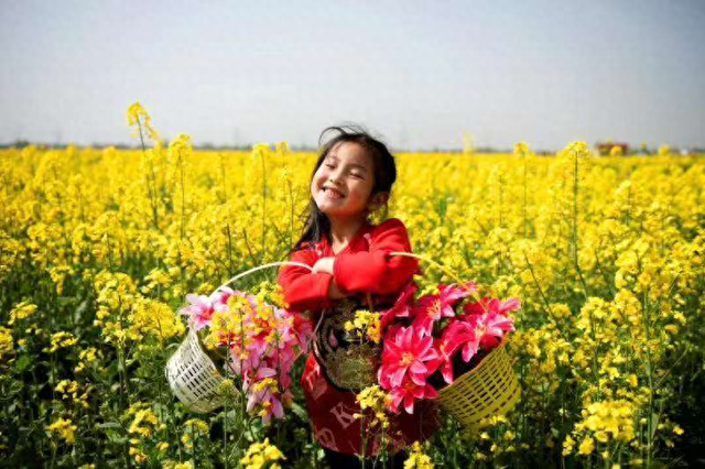 临湘市第七届江南油菜花节3月11日启幕，邀你共赴绚丽春天