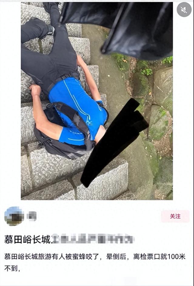 游客在慕田峪长城被蜜蜂蜇伤，有人哭泣、有人倒地 ，警方介入调查，景区回应： 关闭景区，没听说蜜蜂咬人的事