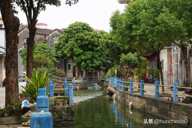 佛山真好逛——多彩的大墩村