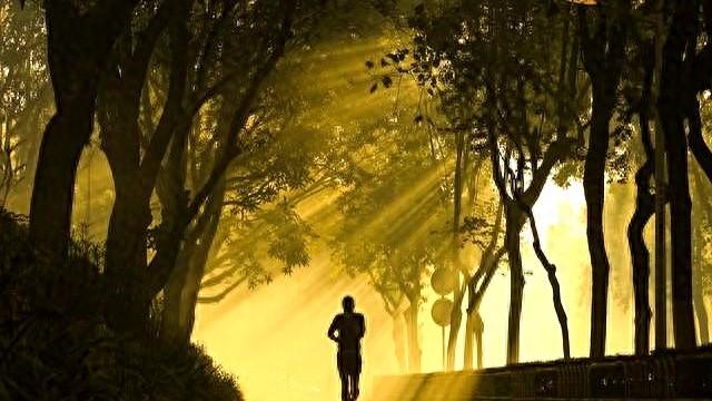 能坚持早起跑步的人，没有一个是弱者