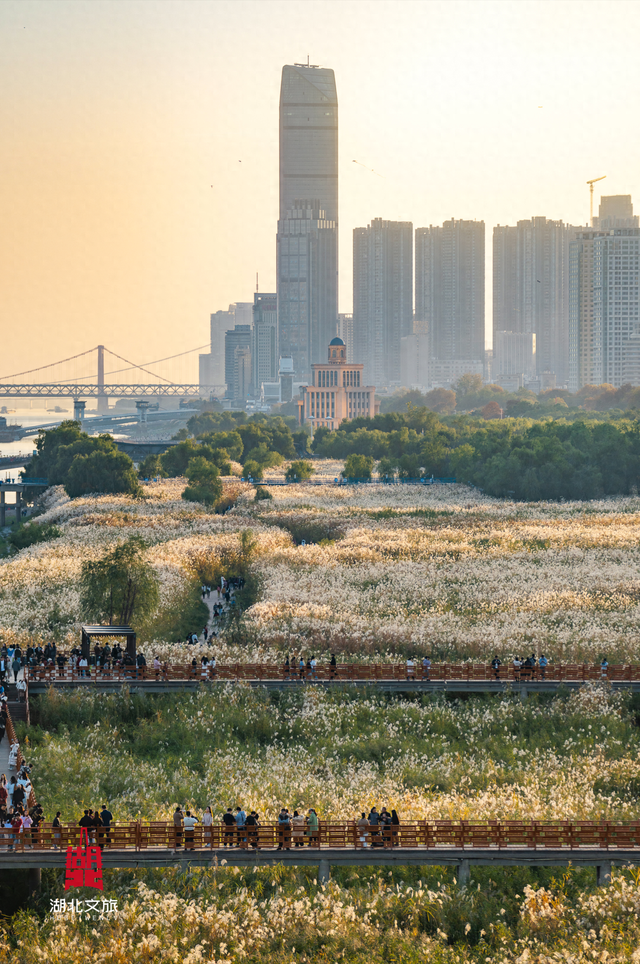 寒潮倒计时！再不来就迟了