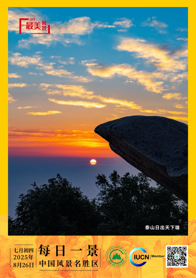 每日一景 | 泰山日出天下雄