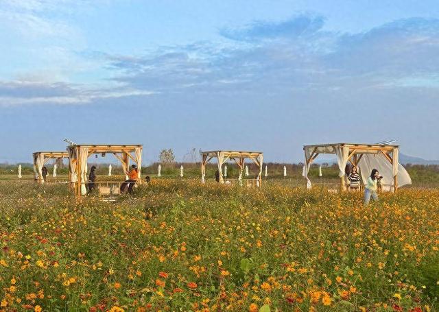 襄城：回归自然乡野！ 这家“村咖”解锁都市人逃离计划