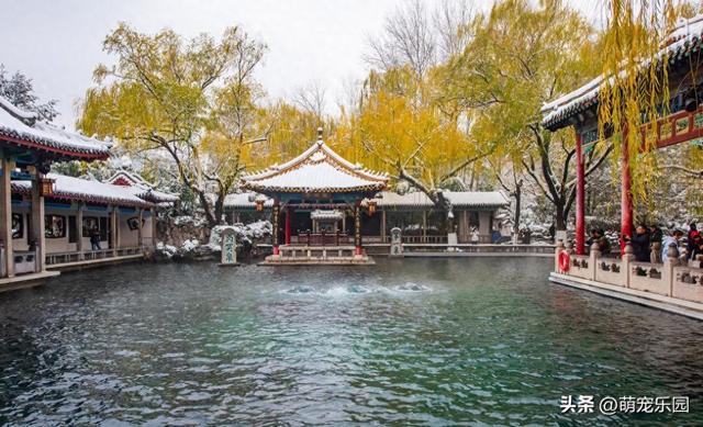 雪精灵造访济南城，趵突泉边遇奇迹，千佛山上现童话