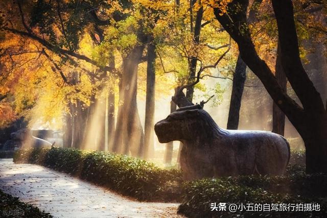 南京秋日赏景全攻略！8 大网红地 + 住宿推荐，红枫银杏梧桐全吃透