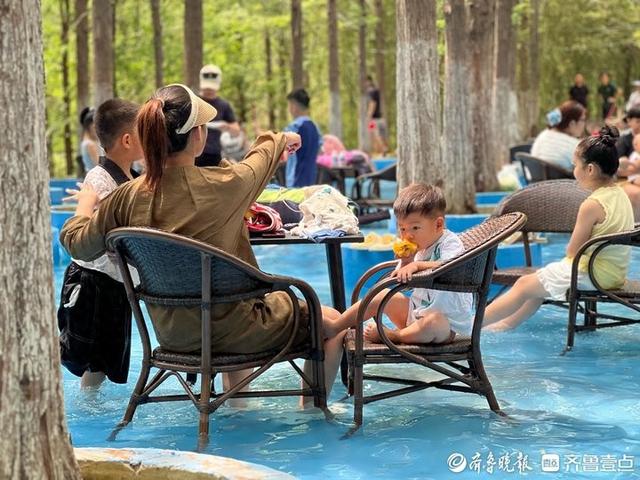 体感直降5-6℃！来济南鲜花港景区水杉林清凉一夏