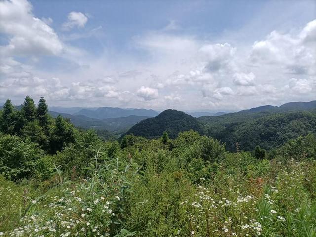 湖北巴东绿葱坡有个灯盏窝森林公园，特别适合夏纳凉冬滑雪