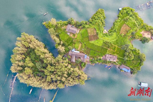 【大湖新记】栖凤湖畔百业兴