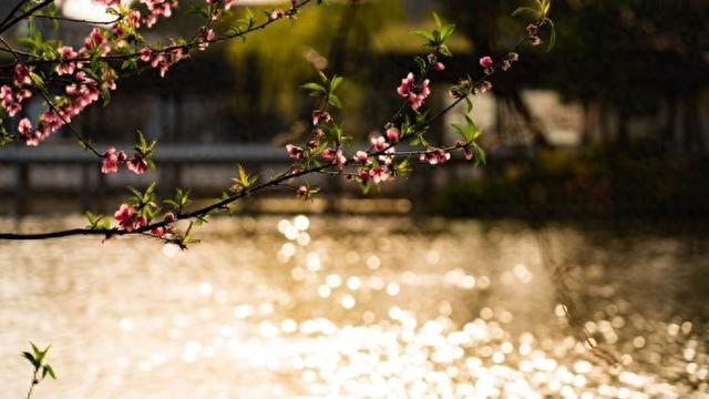 十日谈·为春天存档