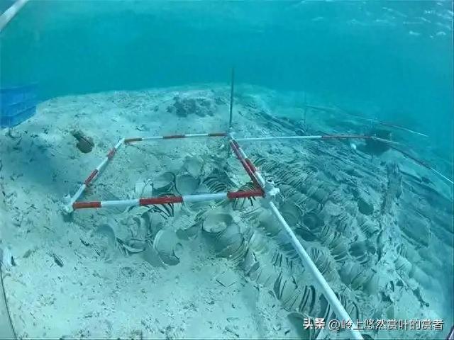 【南海秘境:火箭残骸降临,航行禁令启动!】