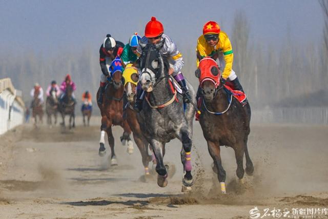 新疆是个好地方丨“冰雪+”跨界融合，激活新疆冬日消费新图景