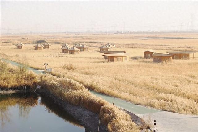 酒泉市以河湖长制绘就生态美景