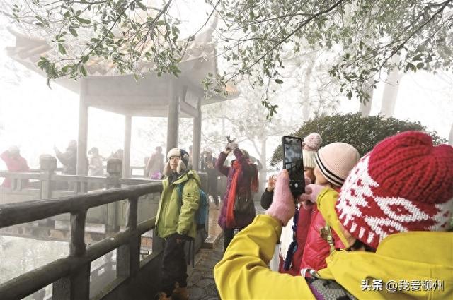 古亭山顶变成冰雪世界！公园提醒市民上山赏景要注意安全
