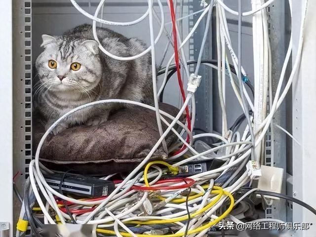 机房布线一团乱？这套大厂级方案真不戳，照抄就够了！